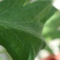 34004_20181001105752_01.JPG