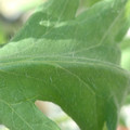 34004_20181001105753_01.JPG