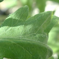 34004_20181001105754_01.JPG
