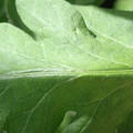 34004_20181001105757_01.JPG