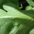 34004_20181001105758_01.JPG