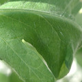 34004_20181001105802_01.JPG