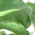 34004_20181001105803_01.JPG