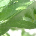 34004_20181001105804_01.JPG