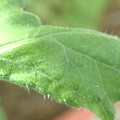 34004_20181001105807_01.JPG
