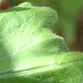 34004_20181001105808_01.JPG