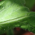 34004_20181001105809_01.JPG