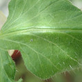 34004_20181001105812_01.JPG
