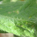 34004_20181001105820_01.JPG