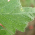 34004_20181001105828_01.JPG