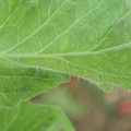 34004_20181001105829_01.JPG