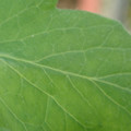 34004_20181001105841_01.JPG