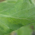 34004_20181001105850_01.JPG