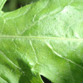 34004_20181001105928_01.JPG