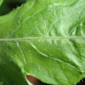 34004_20181001105929_01.JPG
