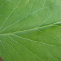 34004_20181001105934_01.JPG