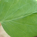 34004_20181001105935_01.JPG
