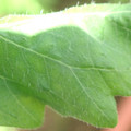 34004_20181001105943_01.JPG