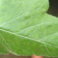 34004_20181001105944_01.JPG