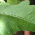 34004_20181001105946_01.JPG