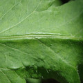 34004_20181001105949_01.JPG
