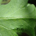 34004_20181001105950_01.JPG