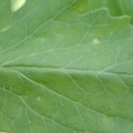 34004_20181001110000_01.JPG
