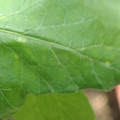 34004_20181001110028_01.JPG