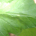 34004_20181001110028_02.JPG