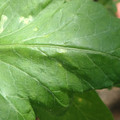 34004_20181001110029_01.JPG