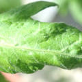 34004_20181001110037_01.JPG