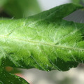 34004_20181001110038_01.JPG