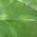 34004_20181001110043_01.JPG