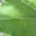 34004_20181001110044_01.JPG