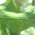 34004_20181001110047_01.JPG