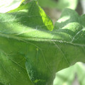34004_20181001110048_01.JPG