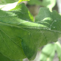 34004_20181001110049_01.JPG
