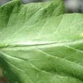34004_20181001110055_01.JPG