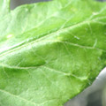 34004_20181001110058_01.JPG