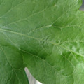34004_20181001110102_01.JPG