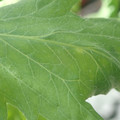 34004_20181001110116_01.JPG