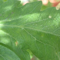 34004_20181001110122_01.JPG