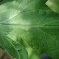 34004_20181001110133_01.JPG