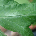 34004_20181001110135_01.JPG