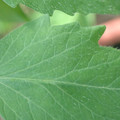 34004_20181001110138_01.JPG