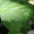 34004_20181001110142_01.JPG