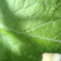 34004_20181001110145_01.JPG