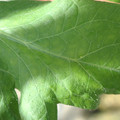34004_20181001110147_01.JPG