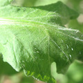 34004_20181001110150_01.JPG