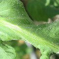 34004_20181001110155_01.JPG